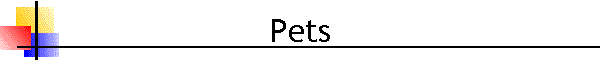 Pets