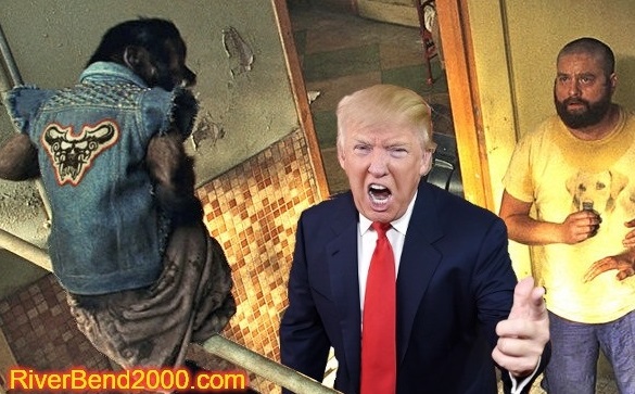 HANGOVER-TRUMP-MONKEY-CHIRONFINALTHUMB